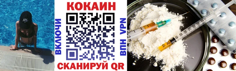Кокаин Fish Scale  как найти закладки  Шуя 