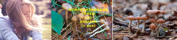спайс Рославль
