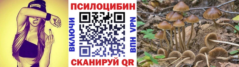 Галлюциногенные грибы ЛСД  OMG зеркало  Шуя  продажа наркотиков 