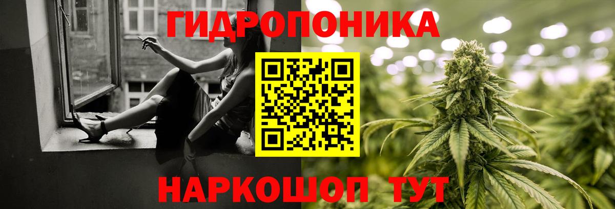 Марихуана VHQ  Шуя  Бошки марихуана White Widow 